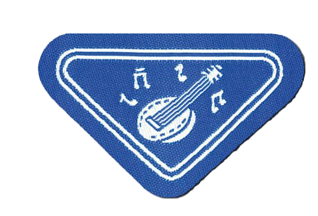 Musicista