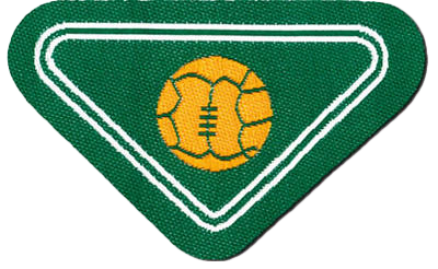Giocatore di Squadra